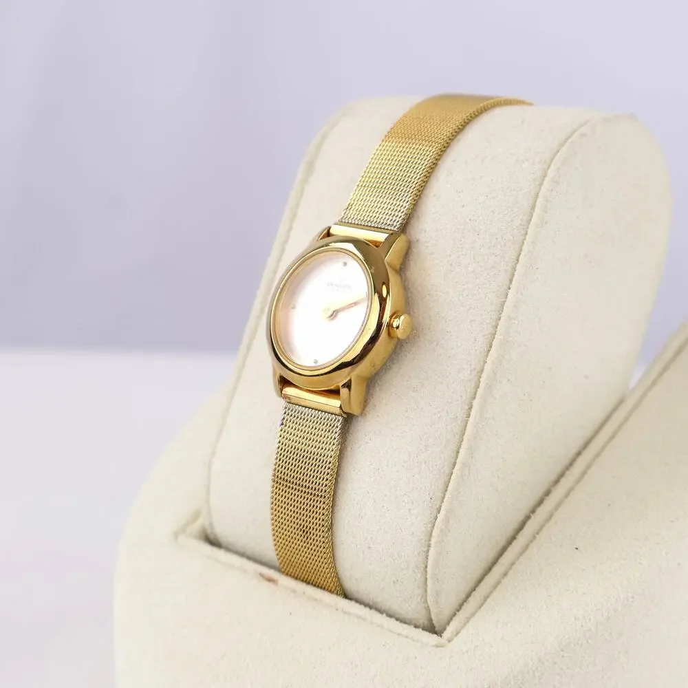 Skagen measurements watch